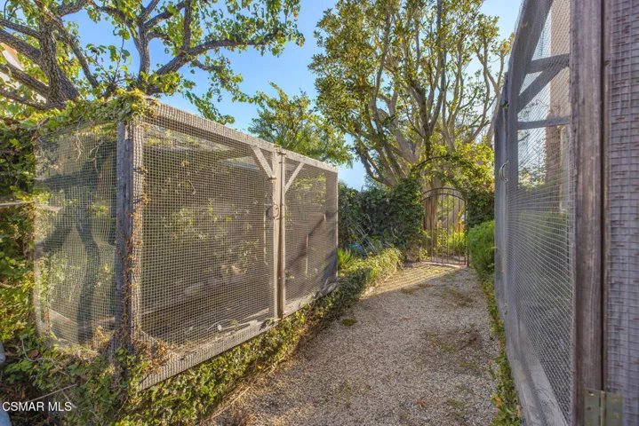 Vegetable Garden