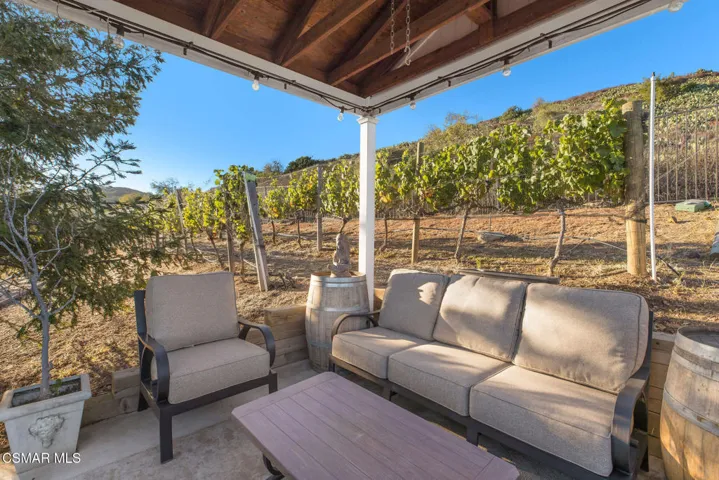 Vineyard