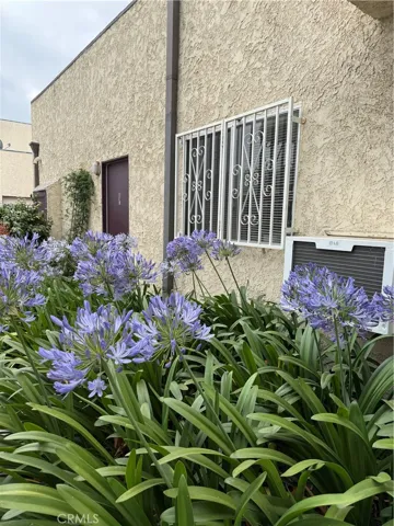 7419 Tampa, Reseda, California 91335
