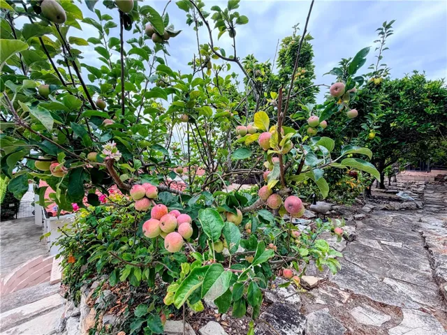 400 Via Almar, Palos Verdes Estates, California 90274