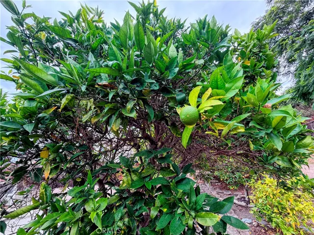 400 Via Almar, Palos Verdes Estates, California 90274