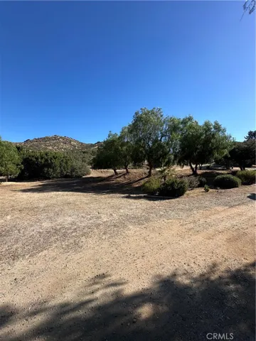 Lower lots 1