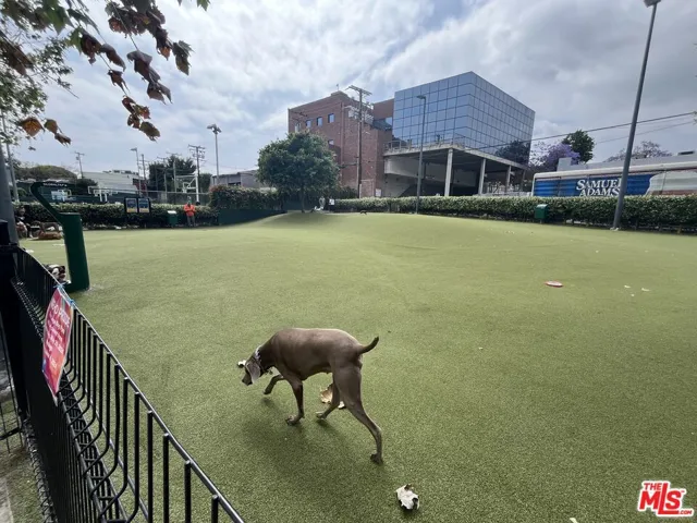 WeHo Dog Park - 2 Blocks