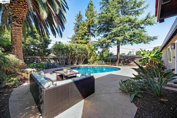 Backyard Oasis