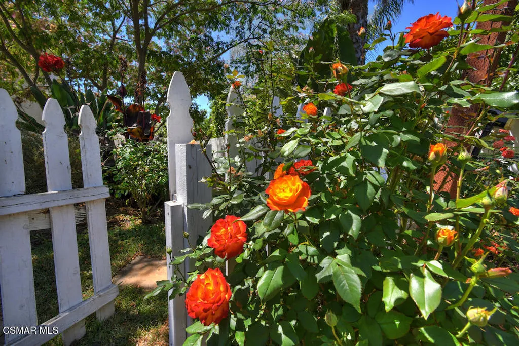 Flower garden