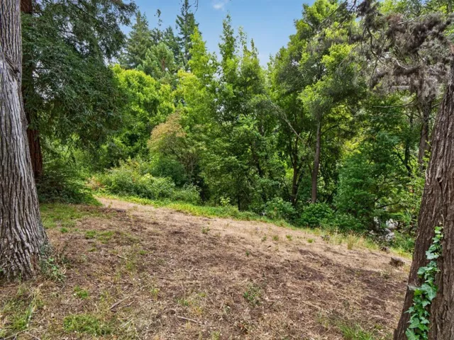 776 Skyline Drive, Felton, California 95018
