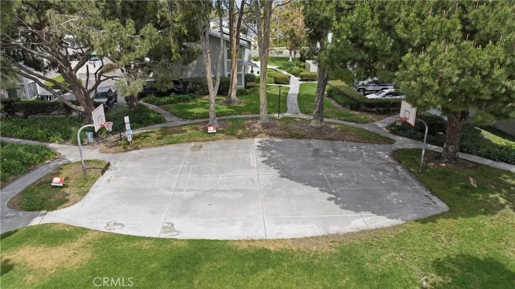 Basketball Court