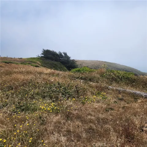 16200 S Highway 1, Manchester, California 95459