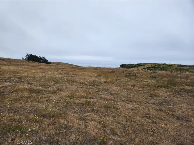 16200 S Highway 1, Manchester, California 95459