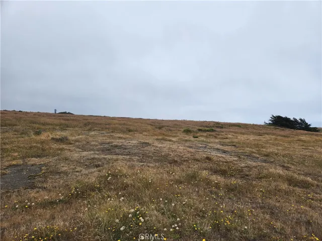 16200 S Highway 1, Manchester, California 95459