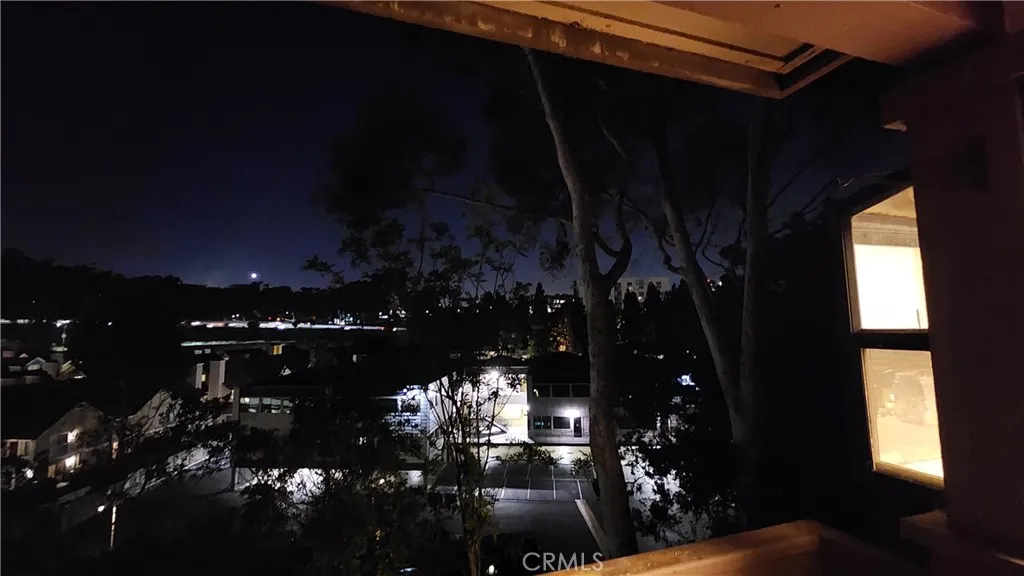 City Lights at Night