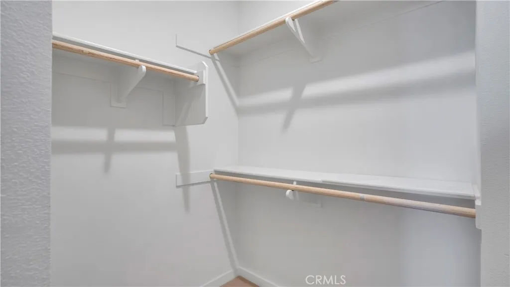 Primary Walk-In Closet #1