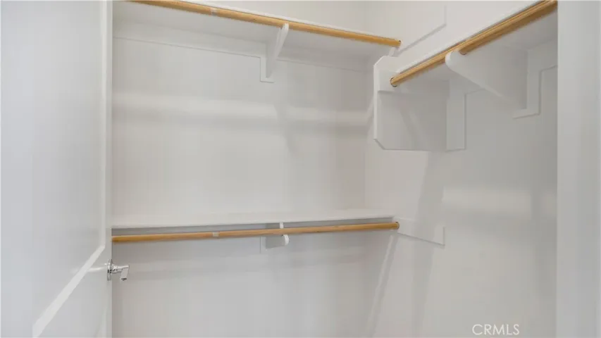 Primary Walk-In Closet #2