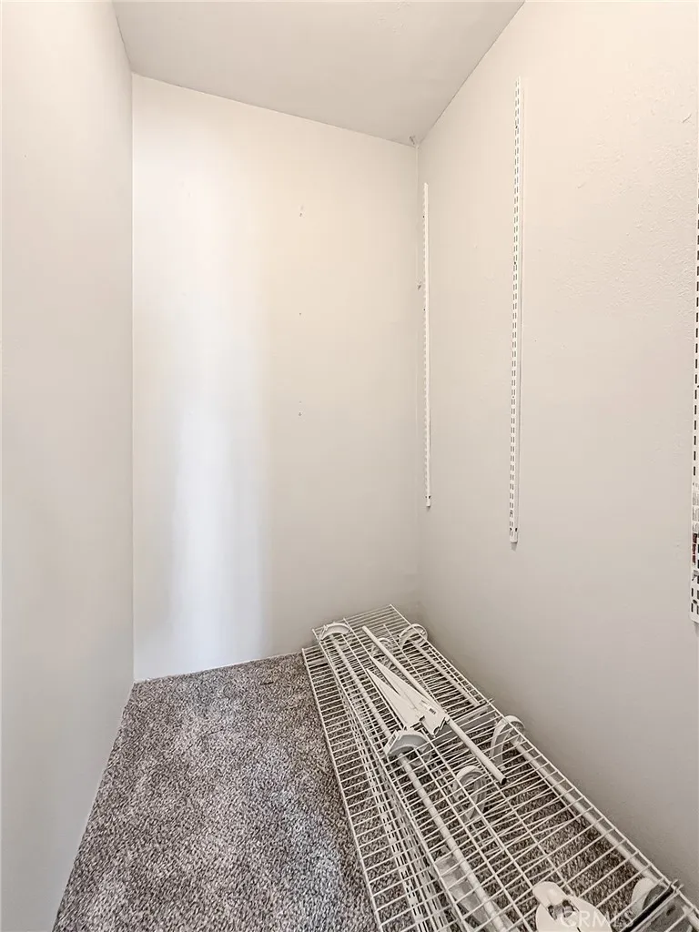Primary Walk-in Closet