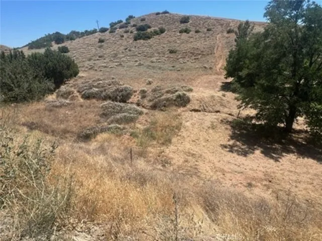 0 Sierra, Acton, California 93510
