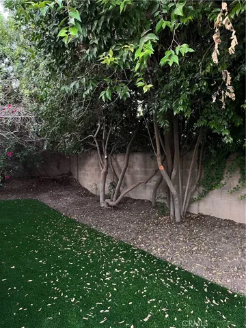 SIDEYARD