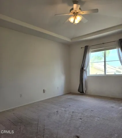 FRESHLY WASHED CARPETS