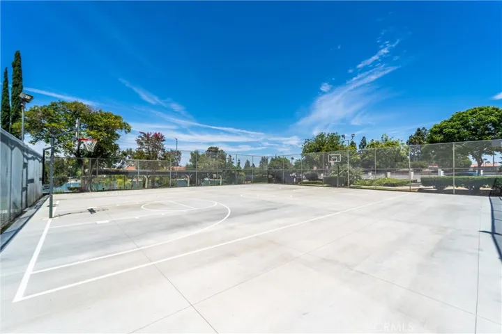 Basketball court