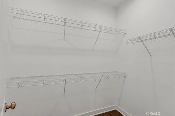 Primary Walk-in Closet 3rd Level