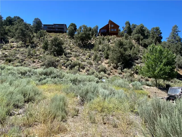 2505 Glacier, Pine Mountain Club, California 93225