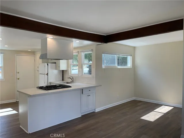 Remodeled kitchen & Living Area