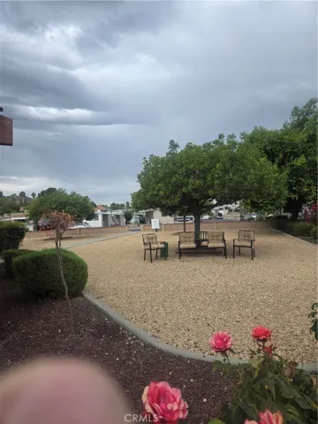 some park amenities