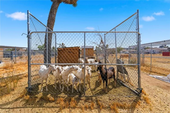 7425 Joshua View, Yucca Valley, California 92284