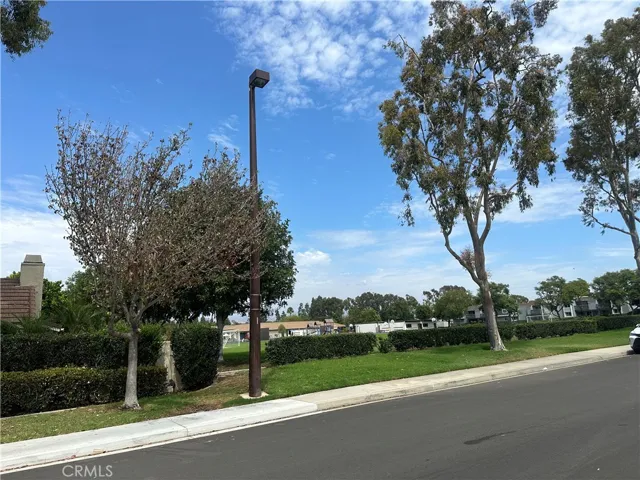 View from driveway