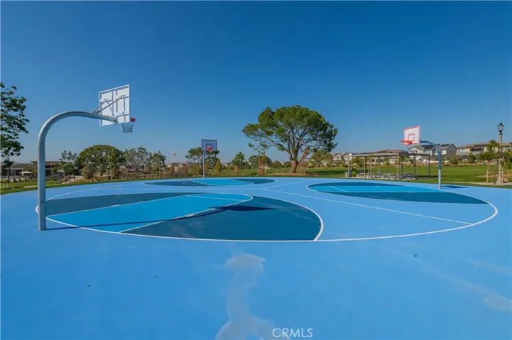 basketball court