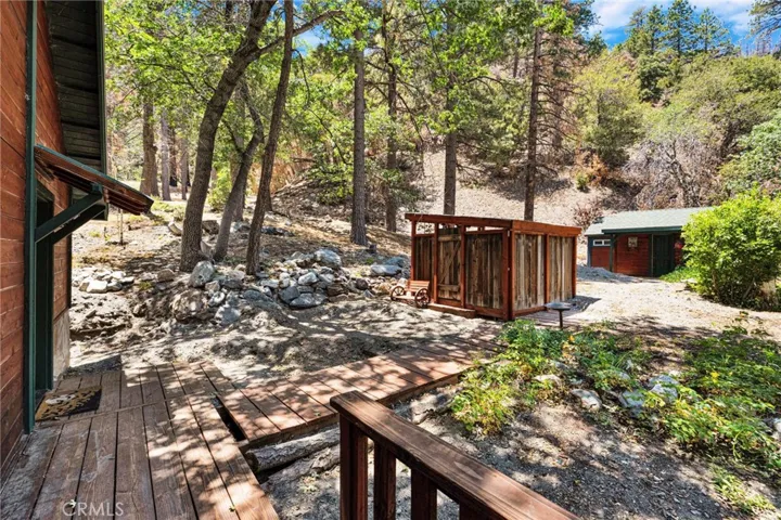 Back Yard Area
