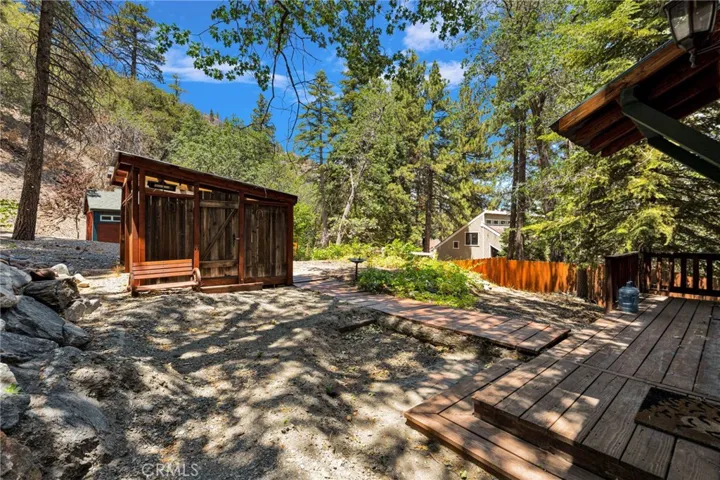 Back Yard Area