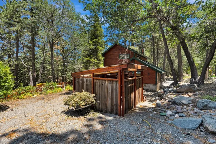 Back Yard Area