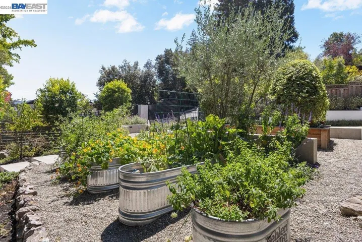271 Livorna Heights Road, Alamo, California 94507
