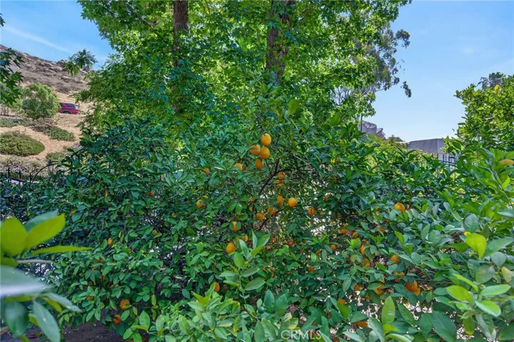 5462 Sierra Vista, Riverside, California 92505