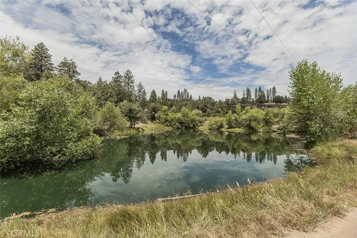 Catch & Release pond.
