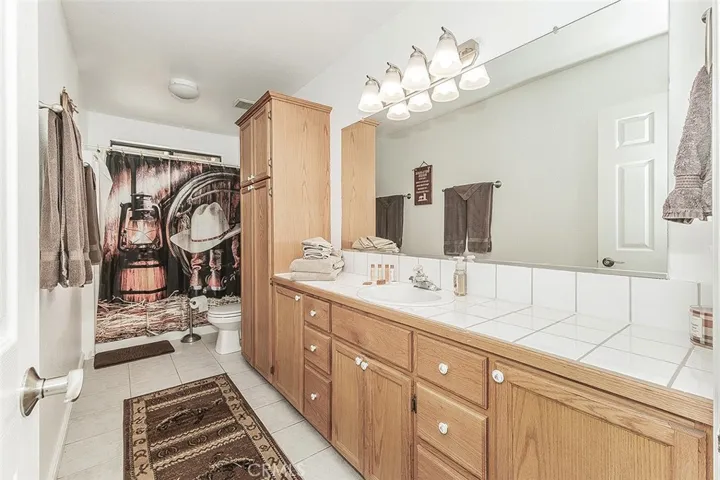 Extra-large gues bath.  Behind the picture (shower curtain) on the back wall is a nice sized shower!
