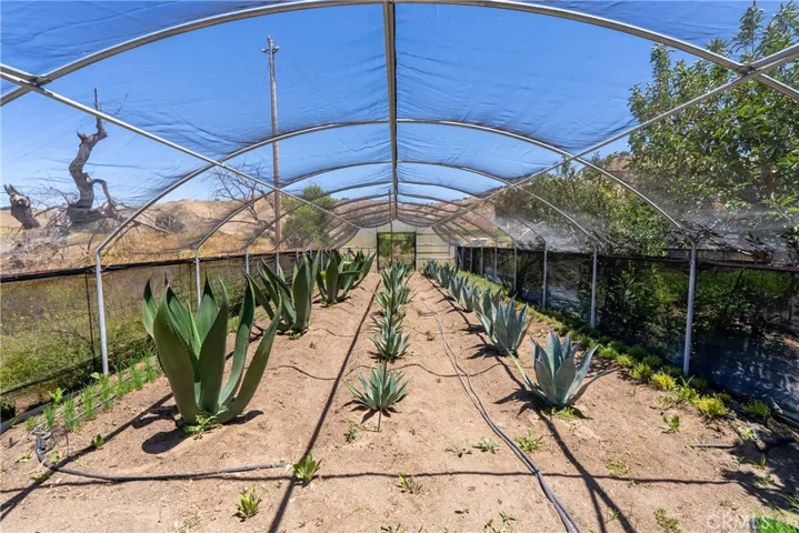 5750 El Pharo, Paso Robles, California 93446