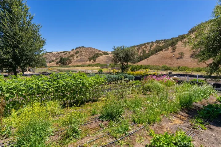 5750 El Pharo, Paso Robles, California 93446