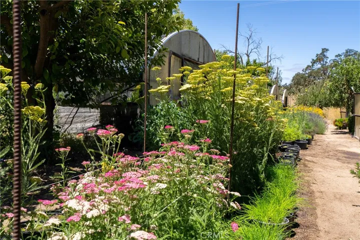5750 El Pharo, Paso Robles, California 93446