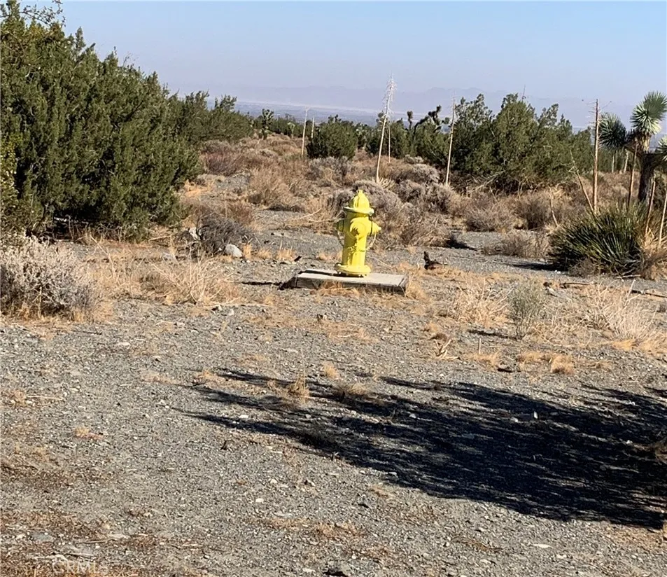 Fire Hydrants Surrounding Vacant Land