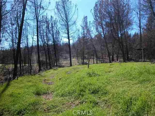 0 Buchner, Berry Creek, California 95916