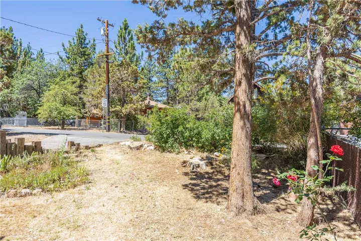 133 Holmes Lane, Sugarloaf, California 92386