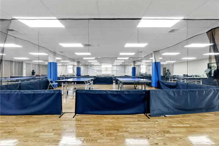 Table tennis