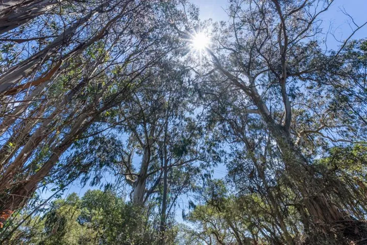 620 Hidden Valley Road, Royal Oaks, California 95076