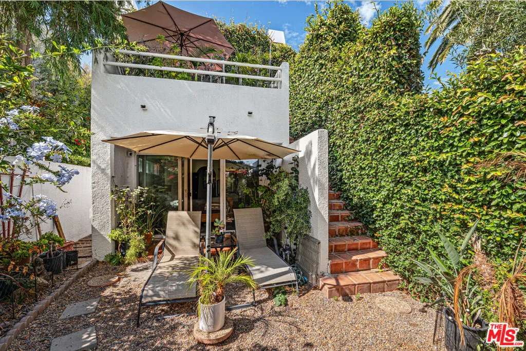 Back garden