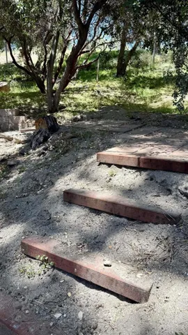 53078 Rockmere Drive, Idyllwild, California 92549