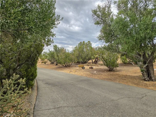 31611 157th E, Llano, California 93544