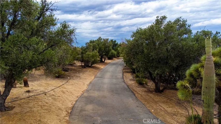 31611 157th E, Llano, California 93544