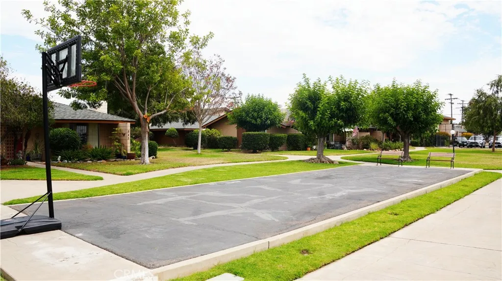 Basketball court