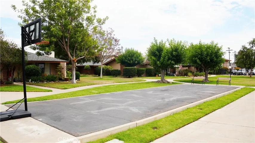 Basketball court